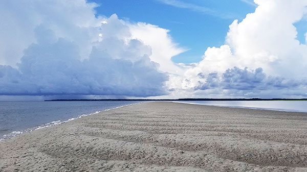 Hilton Head Vanishing Island Tour